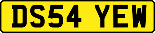 DS54YEW