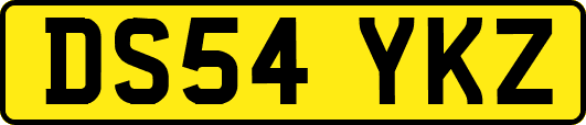 DS54YKZ