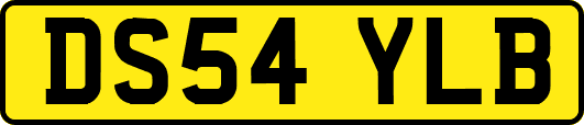 DS54YLB