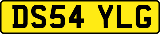DS54YLG