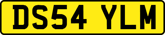 DS54YLM