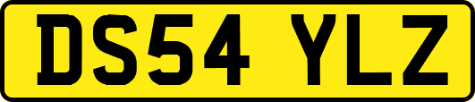 DS54YLZ