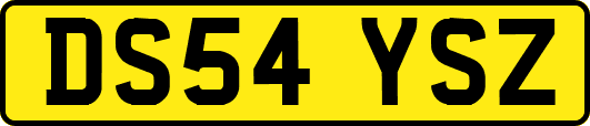 DS54YSZ