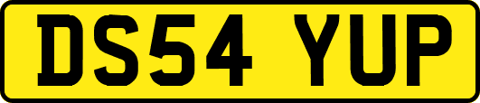 DS54YUP
