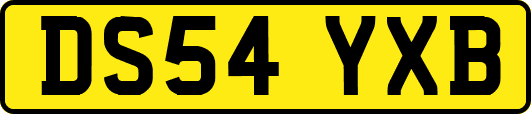 DS54YXB