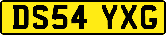 DS54YXG