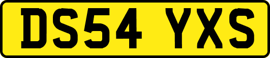 DS54YXS