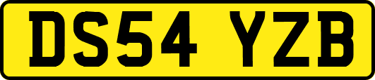 DS54YZB