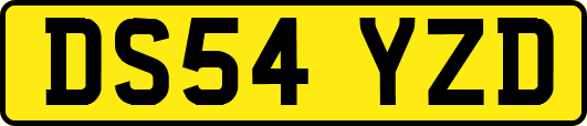 DS54YZD
