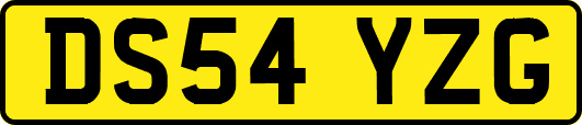 DS54YZG
