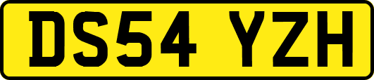 DS54YZH