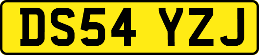 DS54YZJ