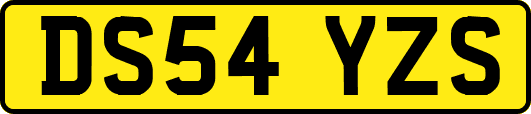 DS54YZS