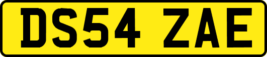 DS54ZAE