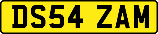DS54ZAM