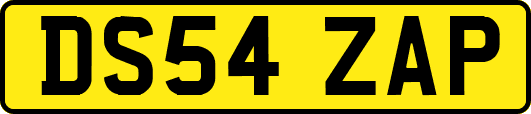DS54ZAP