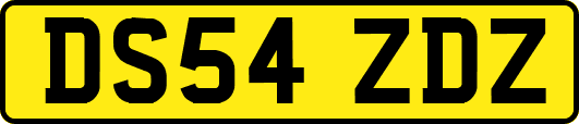 DS54ZDZ