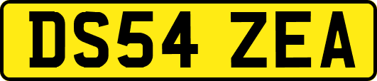 DS54ZEA