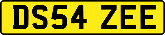 DS54ZEE