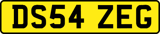 DS54ZEG