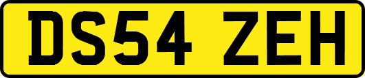 DS54ZEH
