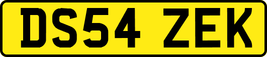 DS54ZEK