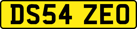 DS54ZEO