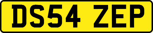 DS54ZEP