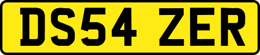 DS54ZER