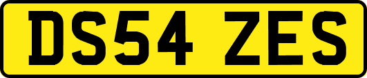 DS54ZES