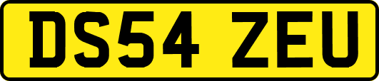 DS54ZEU