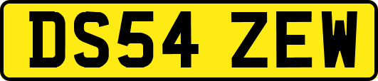 DS54ZEW