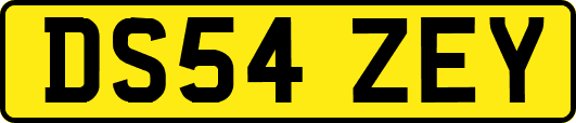 DS54ZEY