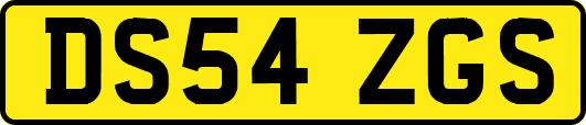 DS54ZGS