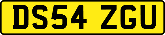 DS54ZGU
