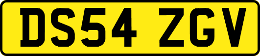 DS54ZGV