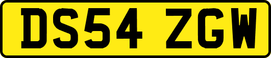 DS54ZGW