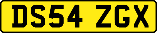 DS54ZGX
