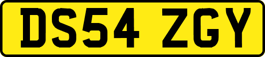 DS54ZGY