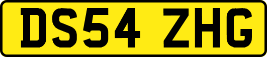 DS54ZHG