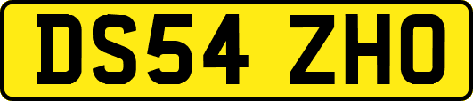 DS54ZHO