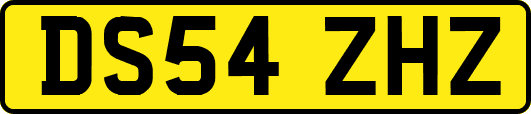DS54ZHZ