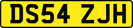 DS54ZJH