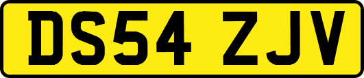 DS54ZJV