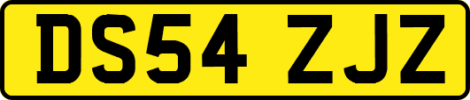 DS54ZJZ