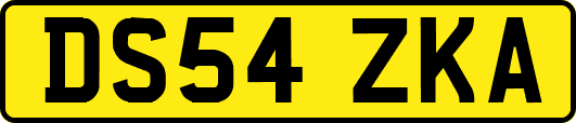DS54ZKA