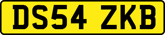 DS54ZKB