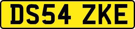 DS54ZKE