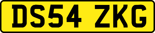 DS54ZKG