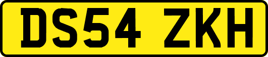 DS54ZKH